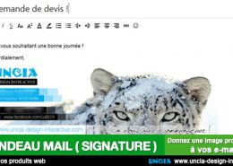 Bandeau signature d'e-mail - Communication Ile de La Réunion