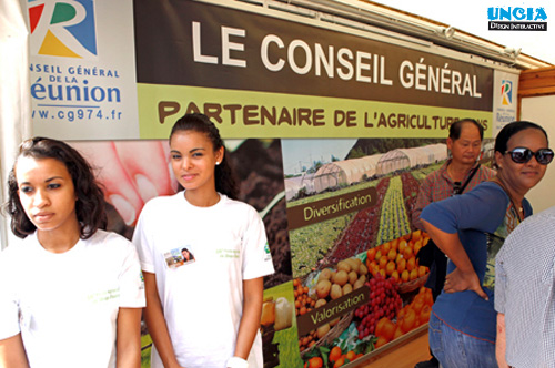 Création supports imprimés - Communication Ile de La Réunion Création de maquette d'imprimé - Communication Ile de La Réunion