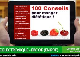Livre électronique - Ebook - Publicité Ile de La Réunion