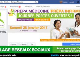 habillage réseaux sociaux - Publicité Ile de La Réunion - Facebook - Youtube - Twitter - Linkedin