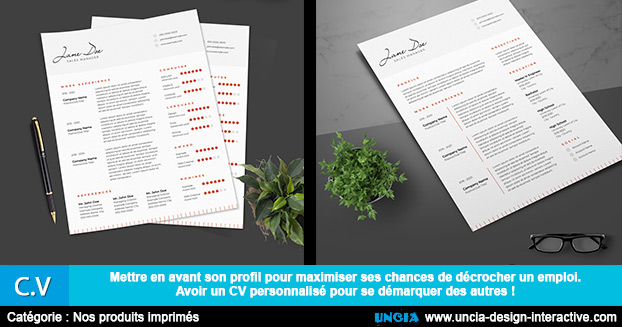 CV - curriculum vitae - Ile De La Réunion